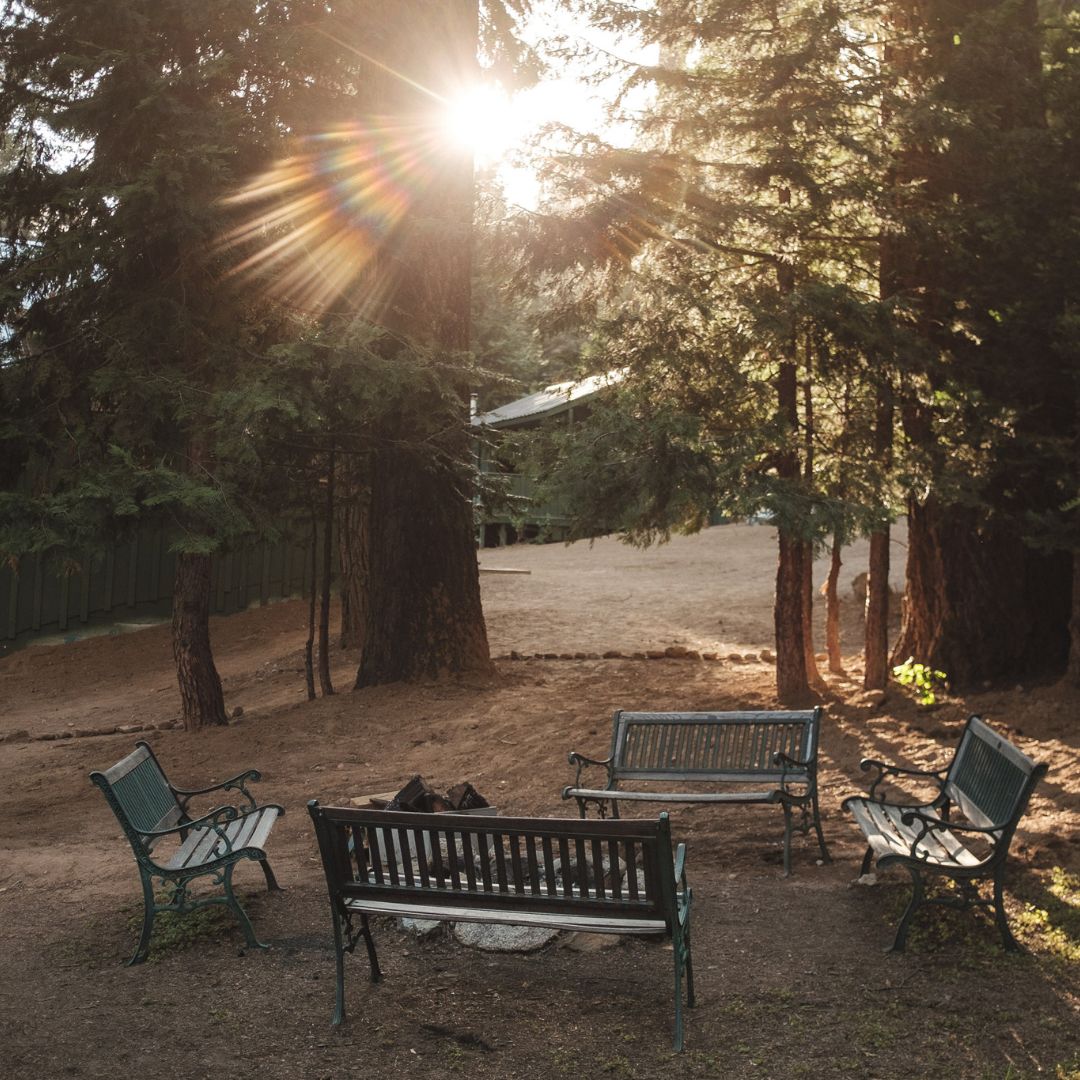 img of benches and sunshine