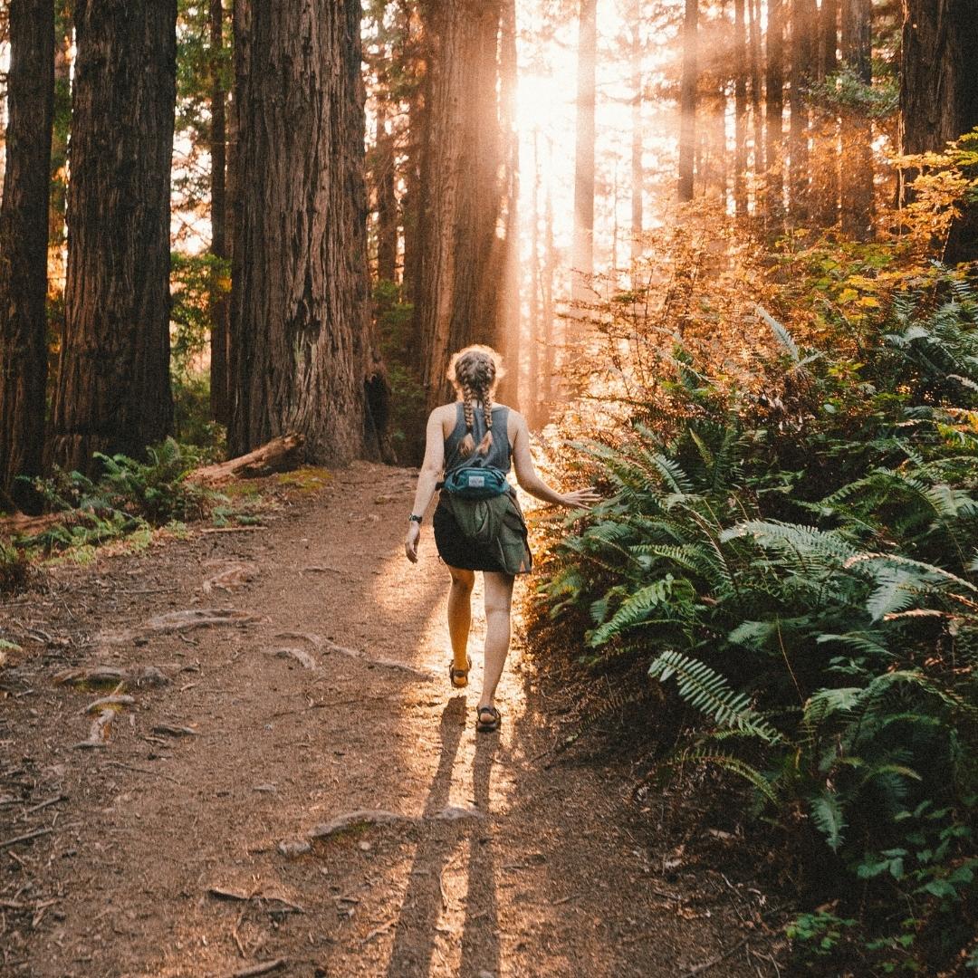 Woman hiking through the sequoia forest