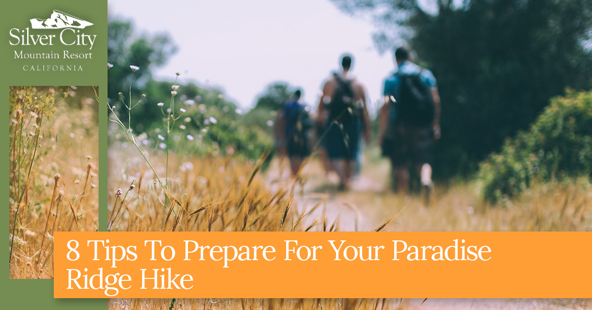 8 Tips To Prepare For Your Paradise Ridge Hike.jpg