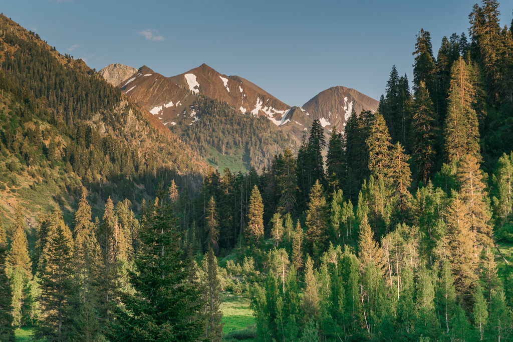 Looking up towards the Mineral King Valley