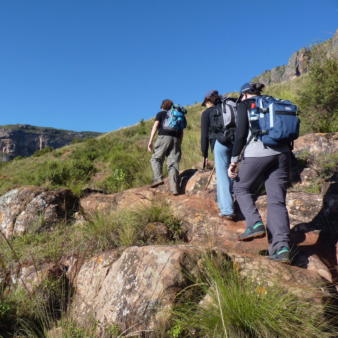 img of people on a hike