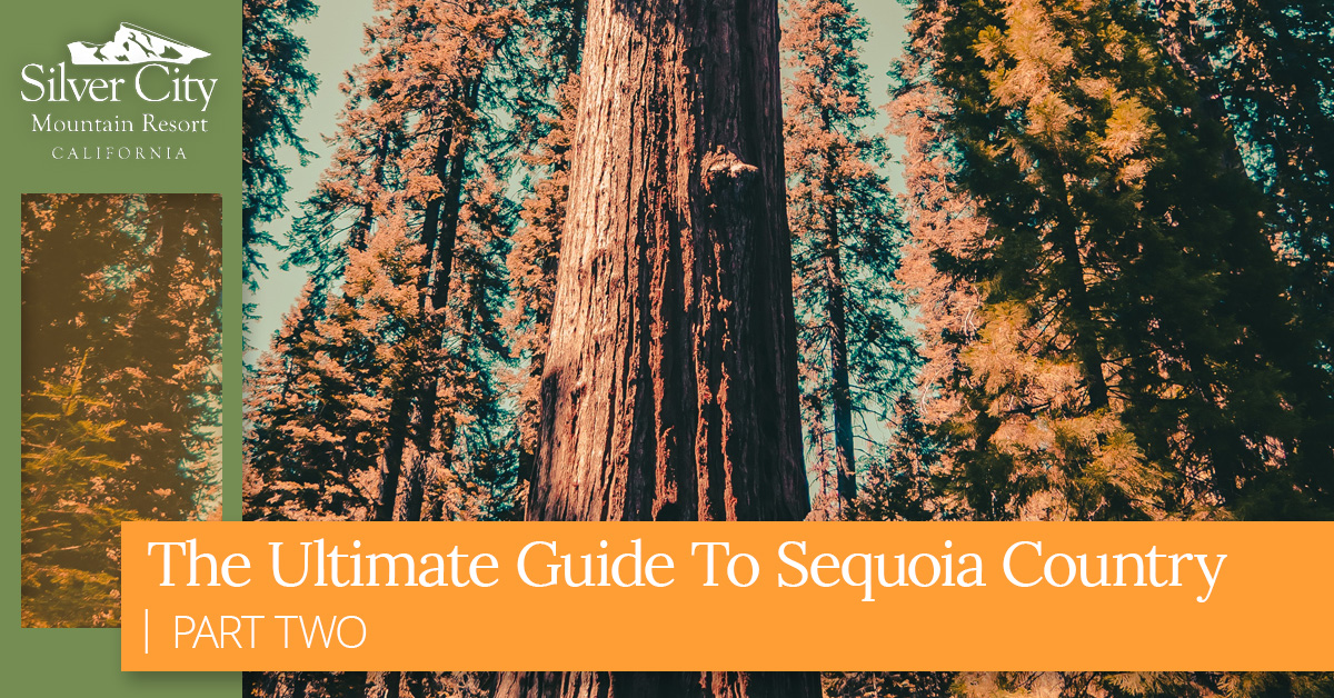 The Ultimate Guide To Sequoia Country 2.jpg