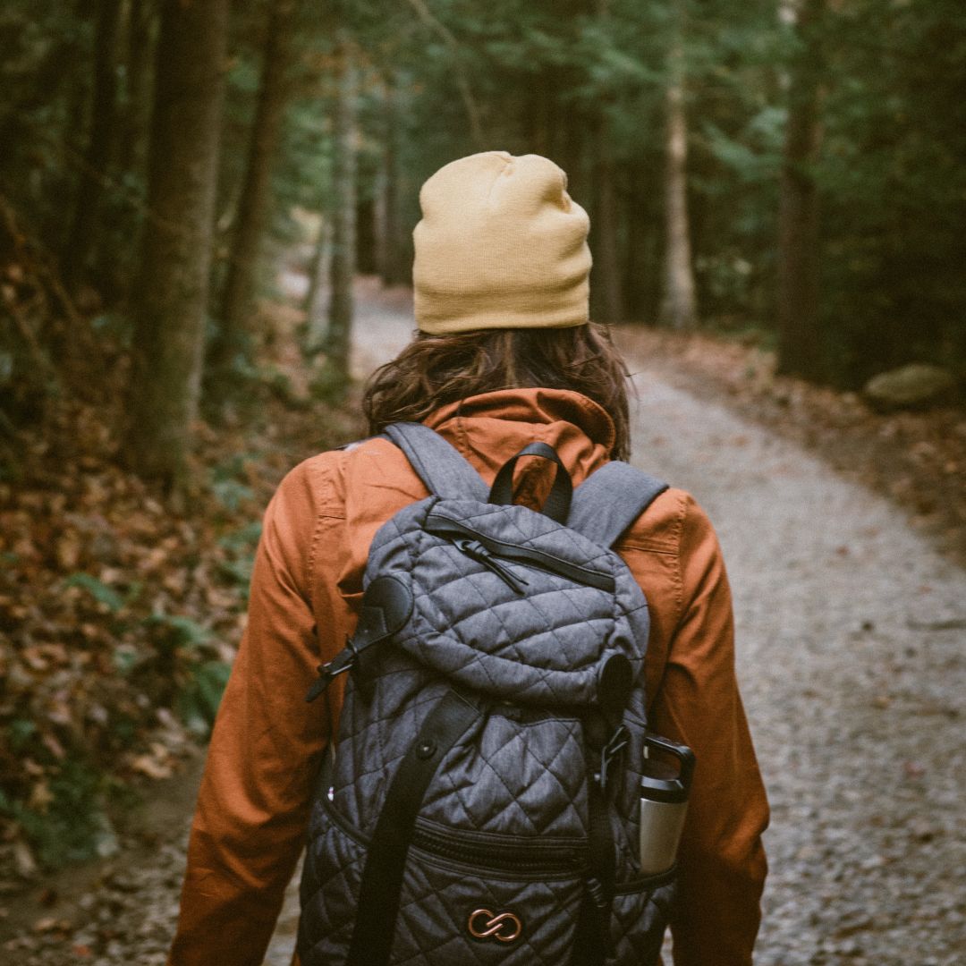 Tips for Exploring the Redwood Forests3.jpg