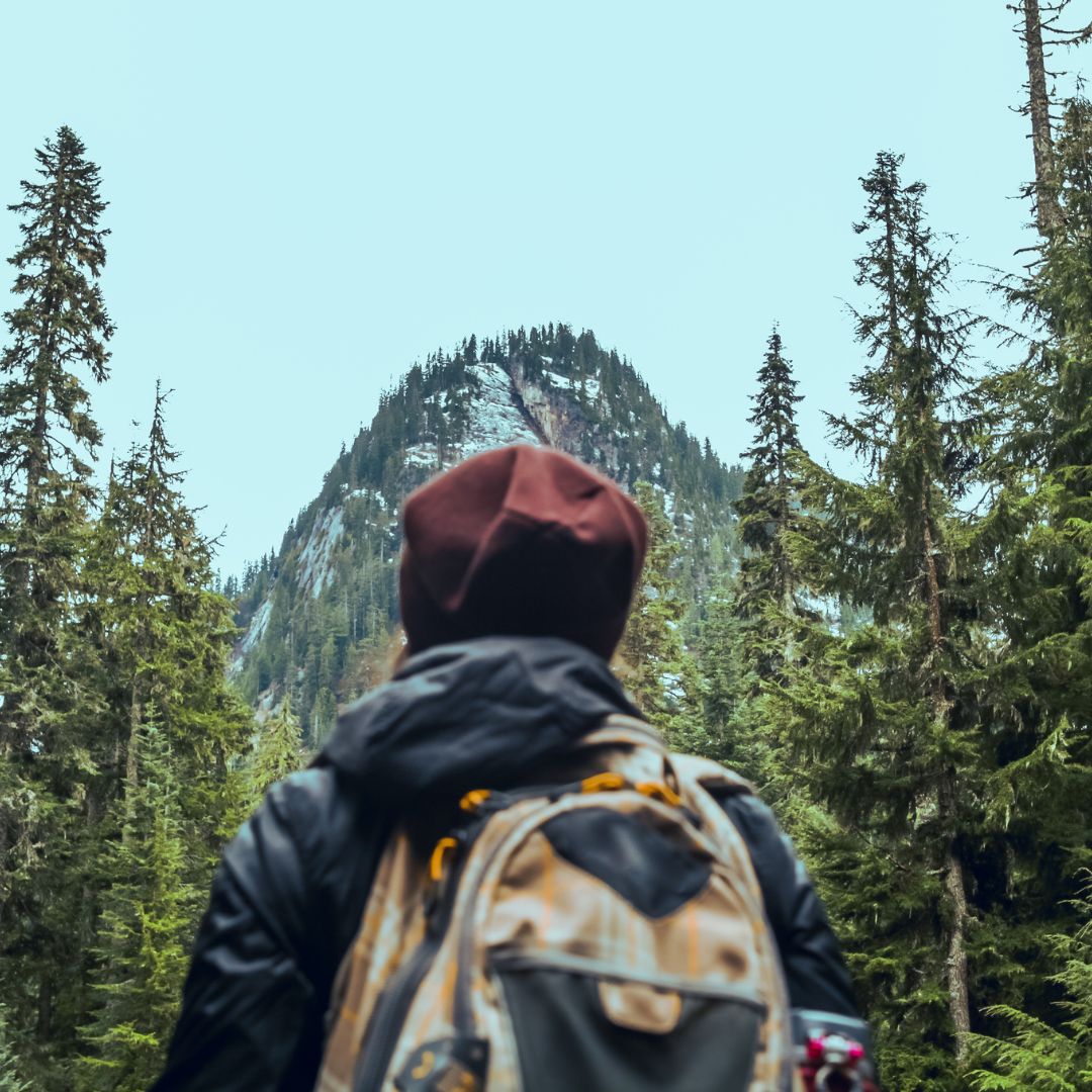 mountains