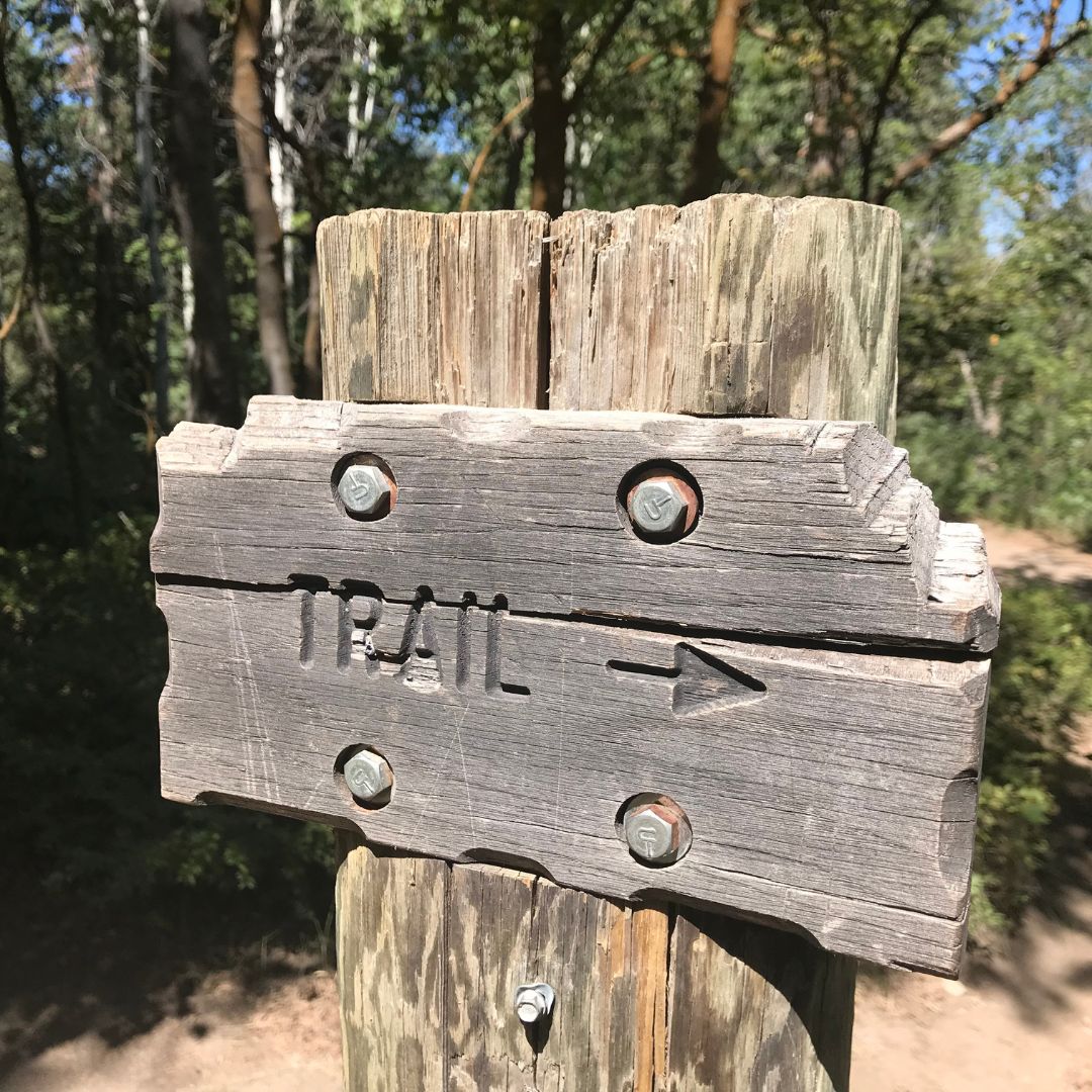 Tips for Exploring the Redwood Forests2.jpg